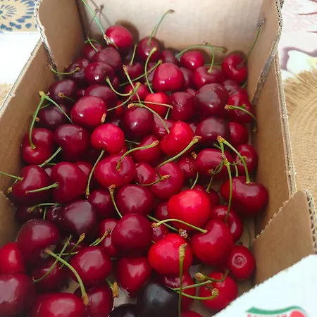 Venere - Locazione Turistica *