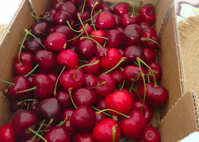 Venere - Locazione Turistica *